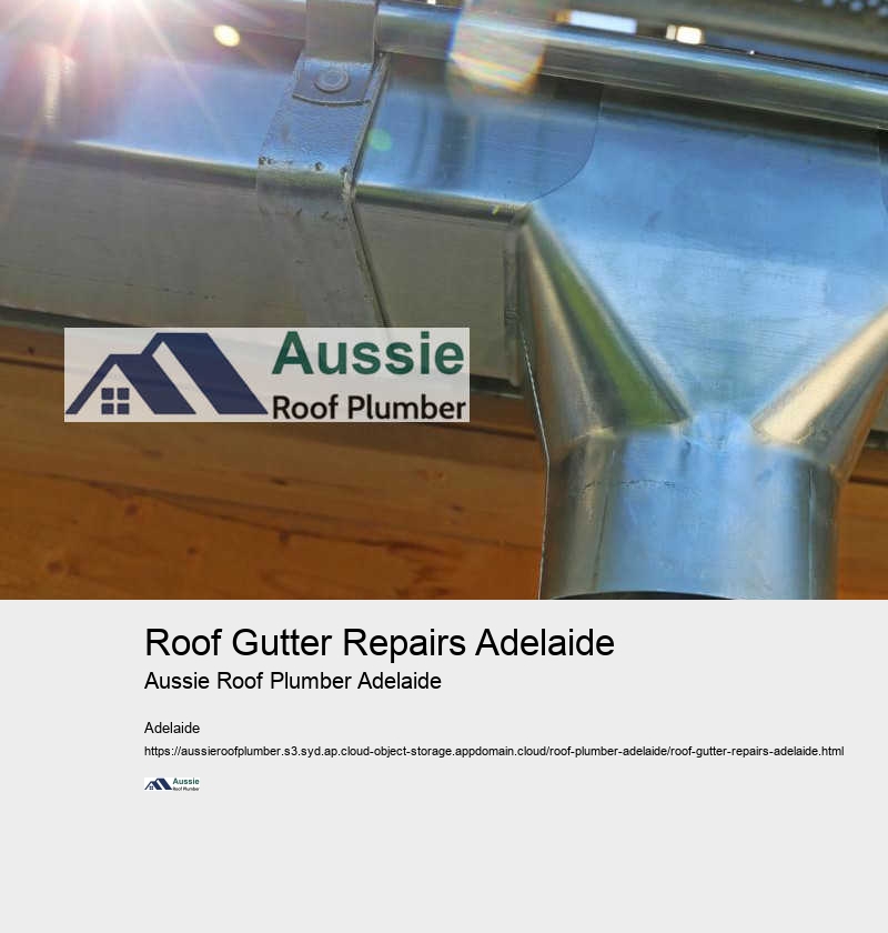 Roof Gutter Repairs Adelaide