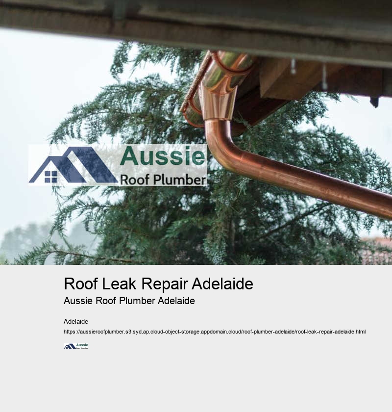 Roof Leak Repair Adelaide