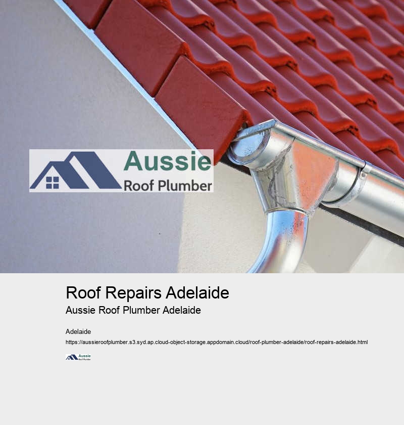 Roof Repairs Adelaide